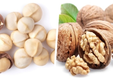 HẠT MACCA VÀ HẠT ÓC CHÓ LOẠI NÀO TỐT HƠN?