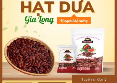 Hạt Dưa Gia Long – Nguồn Sỉ Chất Lượng Cao, Lợi Nhuận Bền Vững Cho Đại Lý Toàn Quốc