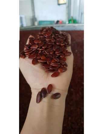 Hạt Dưa Rang Củi Gia Long Gói Nâu